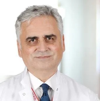 البروفيسور محمود ارجان شيتينوس